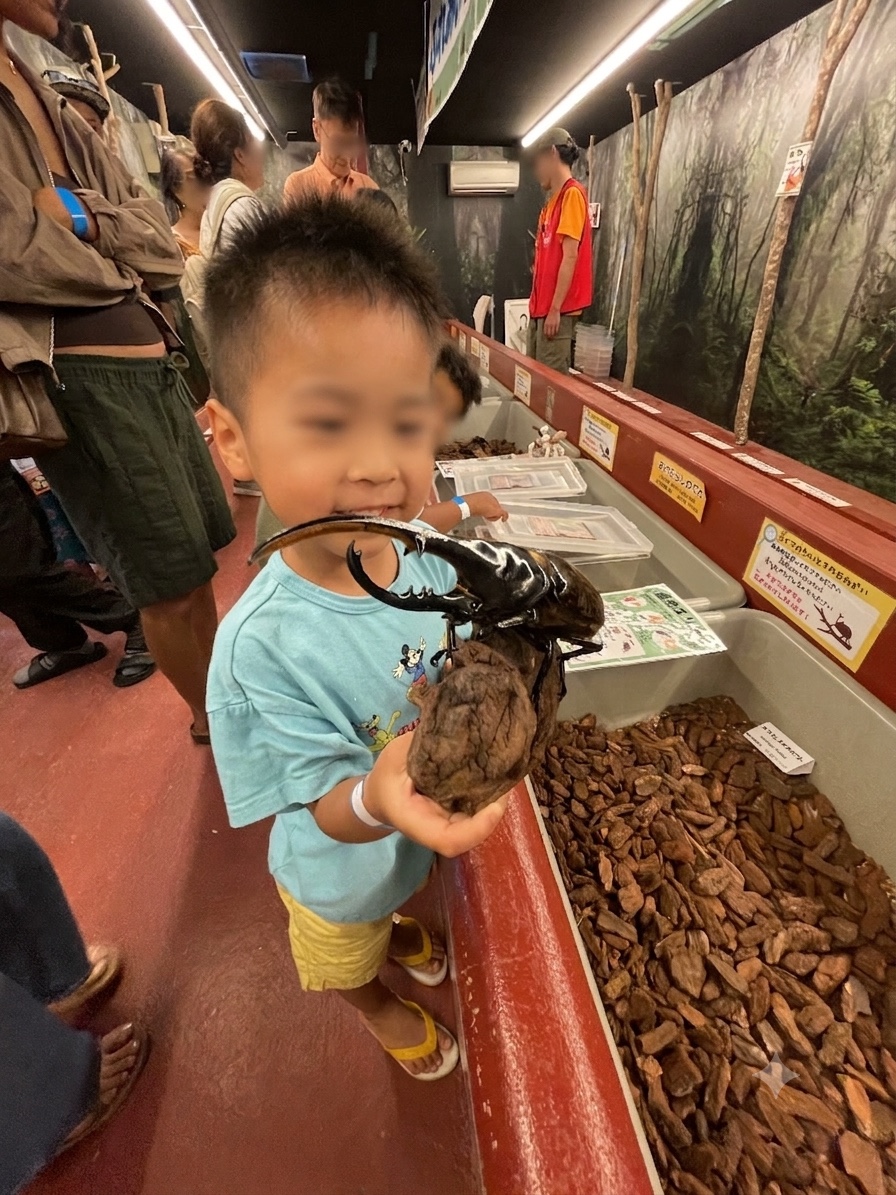 ぼうけんの国沖縄の昆虫コーナーでヘラクレスオオカブトを手に乗せる子供